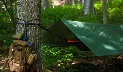 Wilderness Survival Skills